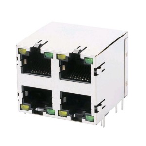 Special Design for rg45 rj45 connector - E5J88-C4C2B4-L without Magnetics 2×2 Port RJ45 Female Connector – Zhusun